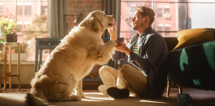 man training its pet